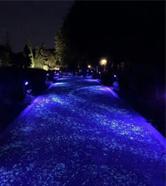 夜光路面